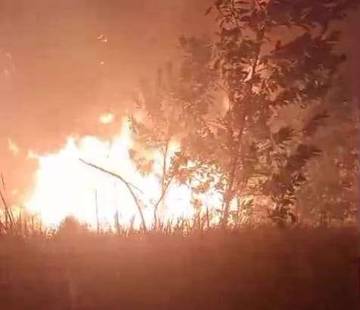 DPRD Bintan Komitmen Mengawasi dengan Ketat Penanganan Karhutla