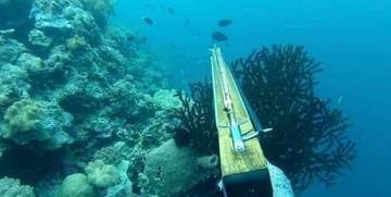 Pemanah Ikan di Ternate Ditemukan Meninggal Dunia