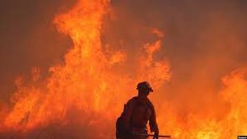 BPBD dan PLN Tolitoli Imbau Waspada Kebakaran