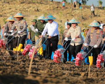 Corn Planting Reflects Strong Government Synergy in Agriculture