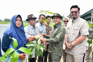 Ministry of Environment Distributes 17 million Seedlings