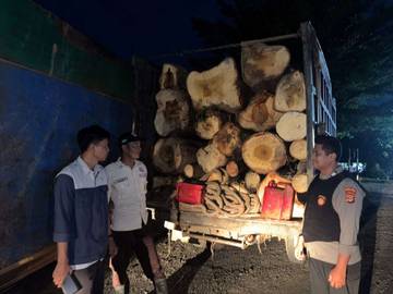 Komplotan Pencuri Kayu di PT PSMI Dibekuk Polisi