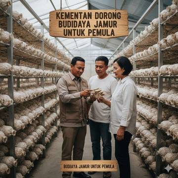 Kementan Dorong Budidaya Jamur untuk Pemula
