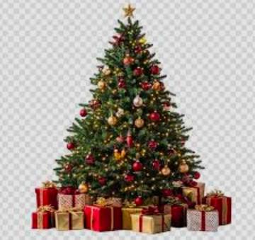 Pohon Natal, Simbol Tradisi Sukacita Umat Kristiani