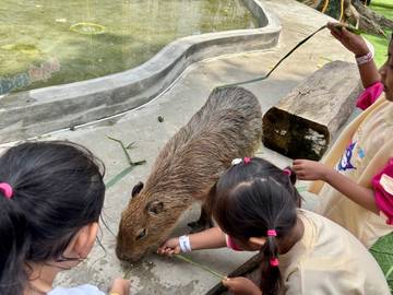 Sejuta Daya Tarik Yogyakarta bagi Wisatawan 