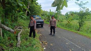 Seorang Pemotor Meninggal Usai Tertimpa Pohon