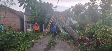 BPBD DIY Kembali Catat Dampak Kerusakan Akibat Cuaca Ekstrem